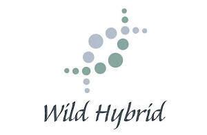 Wild Hybrid